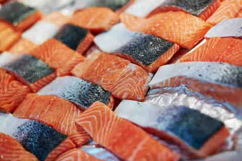 The Dark Truth of Farmed Salmon: Environmental Concerns Unveiled